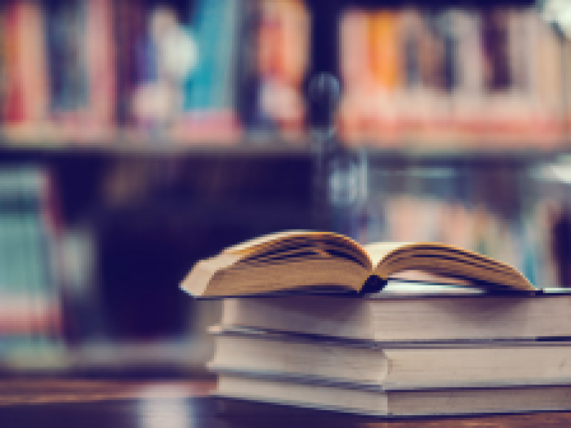 Livre Ambrières & Cigné